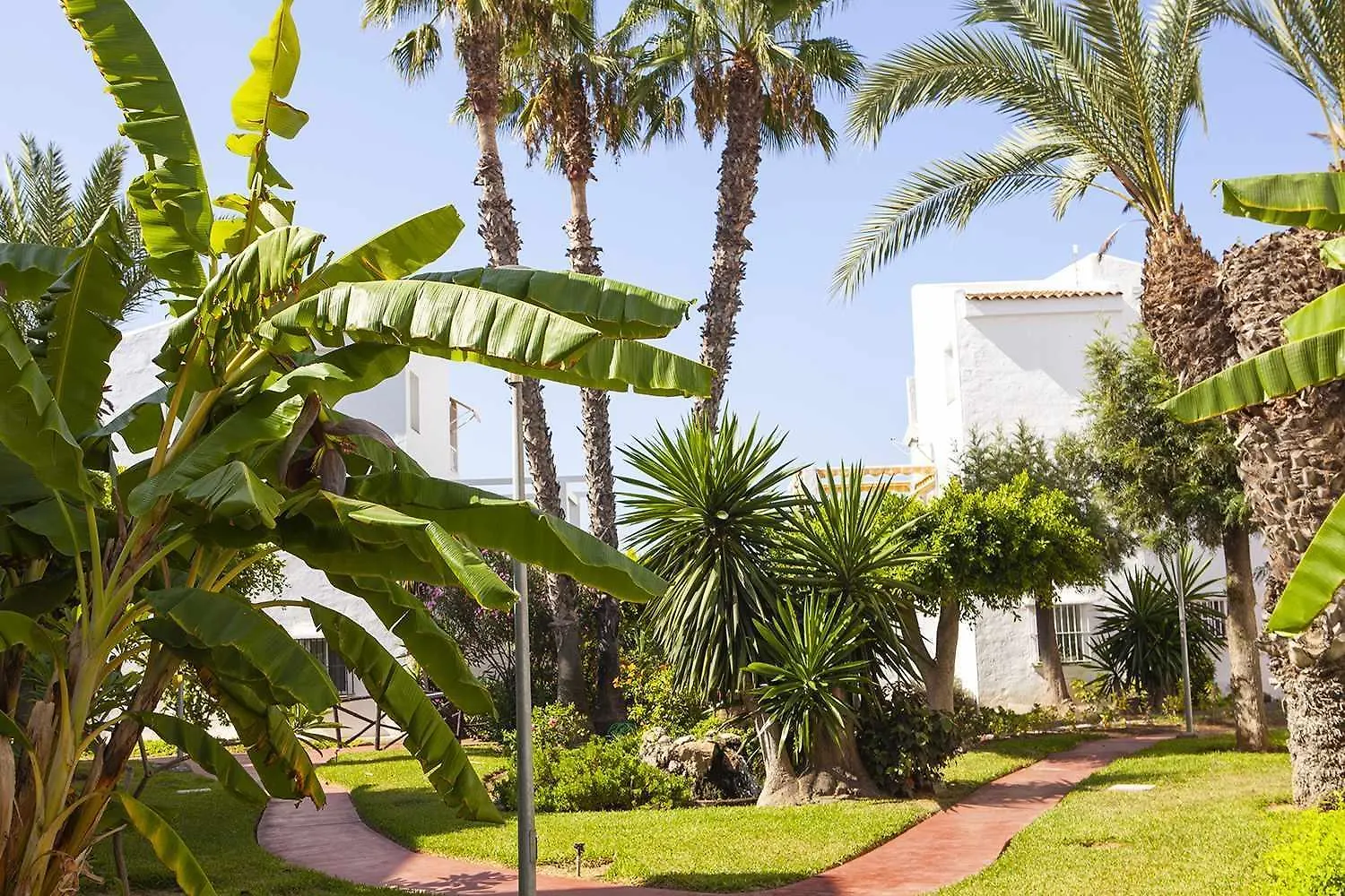 Appartement A 100M De Playa Piscina Y Todos Los Servicios à Torrox 0*,
