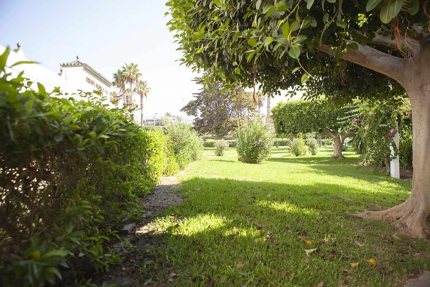 Appartement A 100M De Playa Piscina Y Todos Los Servicios à Torrox
